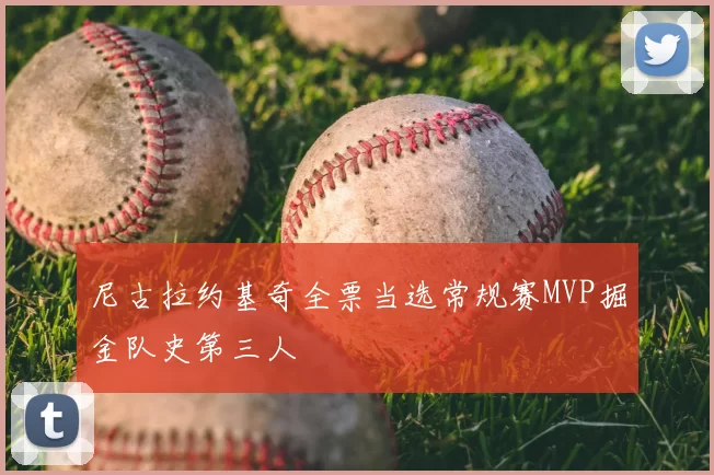 尼古拉约基奇全票当选常规赛MVP掘金队史第三人